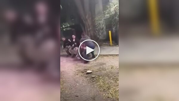 Блогершу избили во время прямого эфира в мексиканском парке