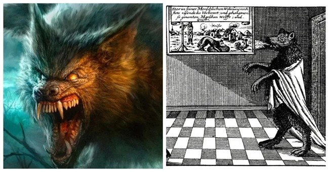 Волк из Ансбаха и его нетипичная история (7 фото)