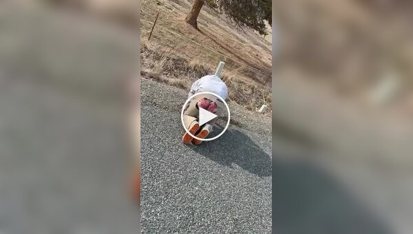 Ужасные следы от торможения