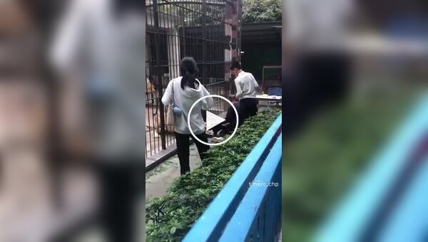 A 10-year-old girl nearly died due to the negligence of a zookeeper.