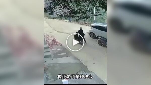 Подборка со множеством смешных, нелепых и болезненных инцидентов связанных с мопедами