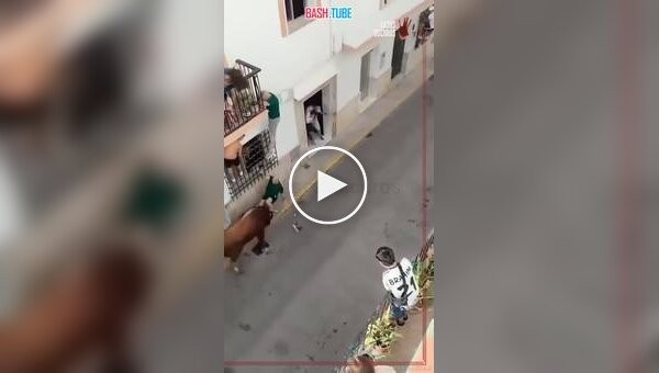 В Испании бык забодал мужчину, который не смог от него спастись во время забега