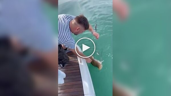 Fisherman stung by caught stingray