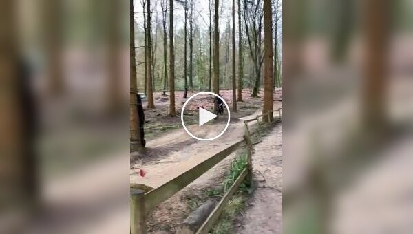 Делай так каждый день и спина не будет