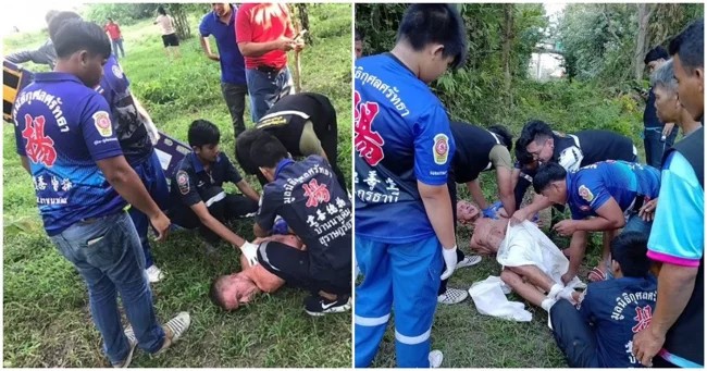 A cow gored a perverted tourist in Thailand (3 photos + 1 video)