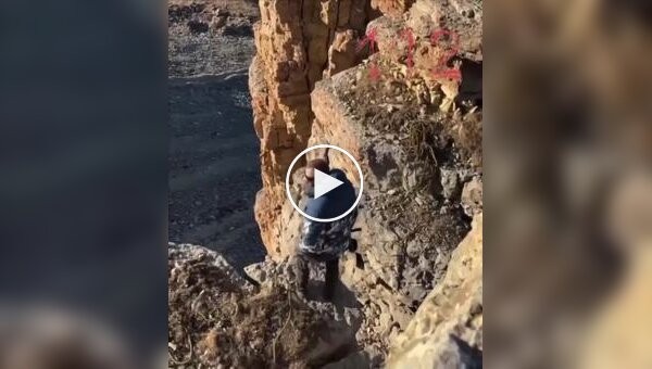 Забавная реакция девушки на падение в пропасть ее парня
