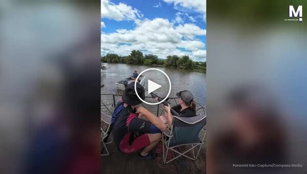 Enraged hippopotamus capsized a boat carrying an animal rights activist in South Africa