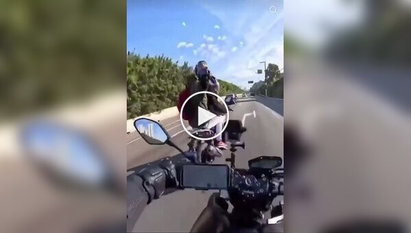 Хочешь жить - умей вертеться