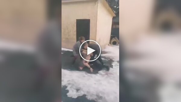 Когда драка выходит из-под контроля: вмешалась даже собака