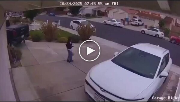 8-летняя девочка едва не попала в руки вооруженных налетчиков в Юнион-Сити