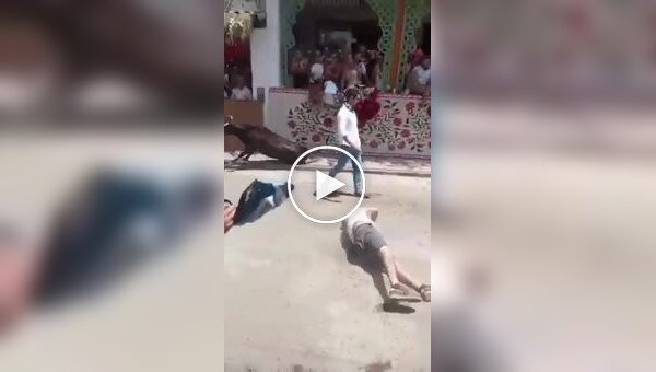 In Peru, an enraged A bull attacked a man during a festival.