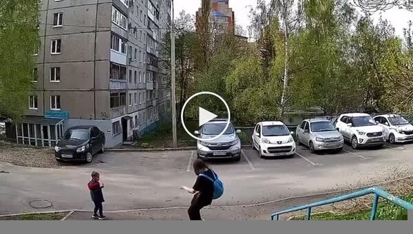 Женщина несколько раз ударила свою собаку из-за пролитого кофе