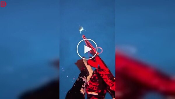 Акула едва не лишила дайвера ноги во время погружения у берегов Фиджи