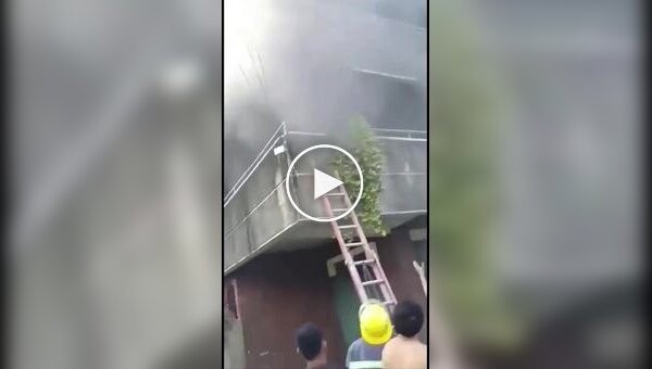 Драматичное спасение женщины и ее собак во время пожара на Филиппинах