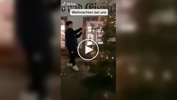 В Германии приезжий повалил новогоднюю елку и сорвал украшения