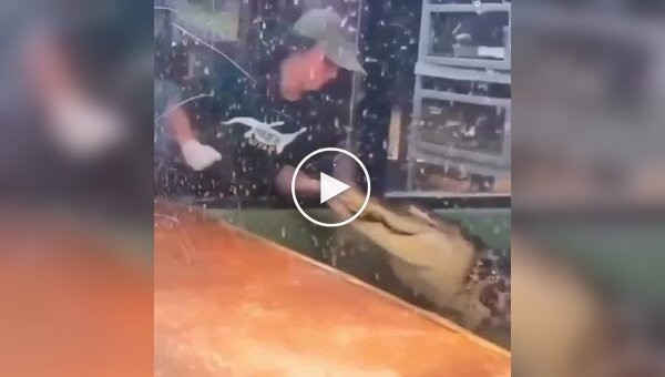 Во время детского праздника аллигатор напал на сотрудницу зоопарка, серьезно повредив ей руку