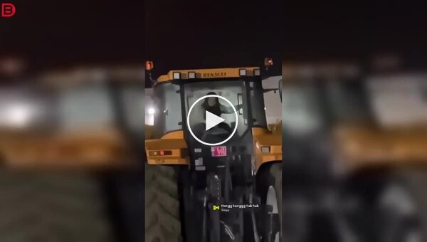 Когда сельская идиллия прерывается неожиданным событием