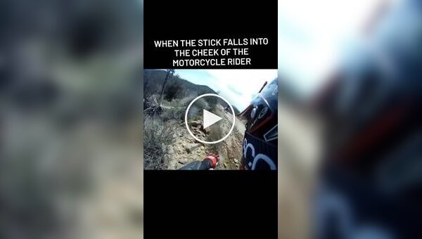 Hit a stick with his face during a normal motorcycle ride