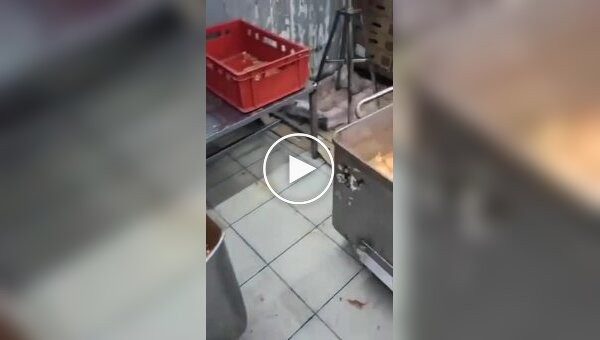 Video from one of the workshops for the production of meat preparations for shawarma shops in Russia (mat)., preparation for shawarma shops, meat, workshop