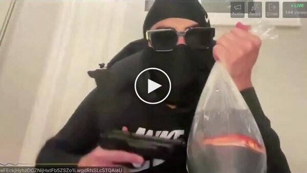 A live hostage in an aquarium: a streamer made $255,000 by threatening to shoot a goldfish