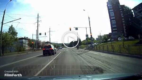 BMW driver crushes ducklings crossing the road at a pedestrian crossing