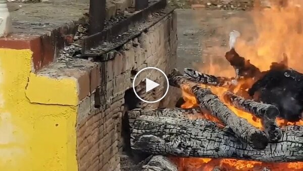 Short video of traditional cremation in Thailand