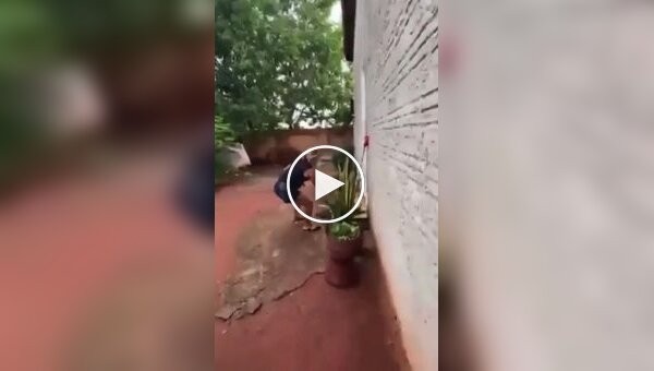 Женщина застала мужа в постели с любовницей и избила его шлепанцами