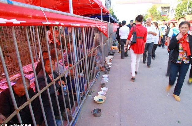 A zoo with beggars in cages (5 photos)