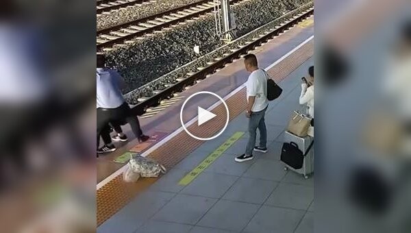 A security guard saved a pregnant woman from a speeding train at the last moment