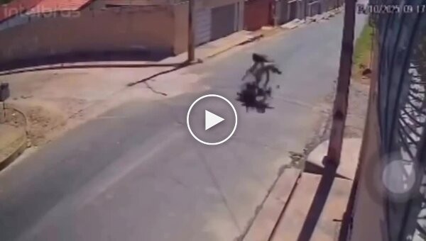 Столкновение с лошадью