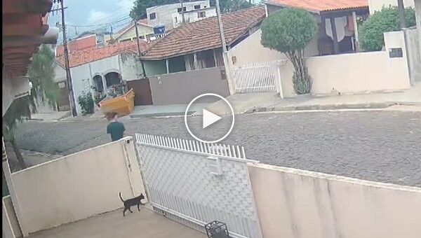 Парень вовремя спас кота от зажима автоматических ворот