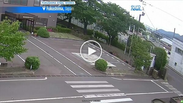 A bear attack in a residential area of ​​Japan: four people were injured