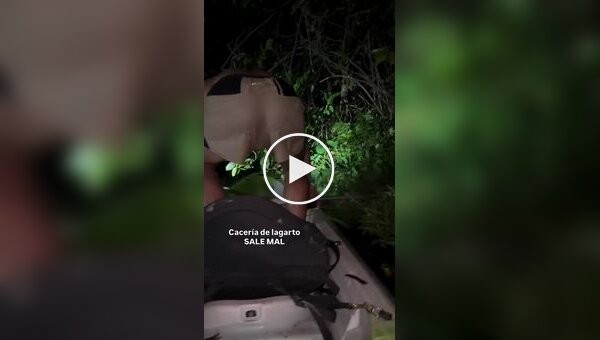 Чоловік спіймав каймана заради відео і отримав укус у відповідь