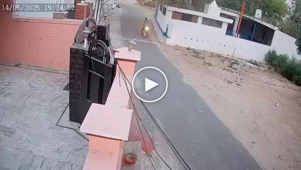 Напевно, довго тренувалися