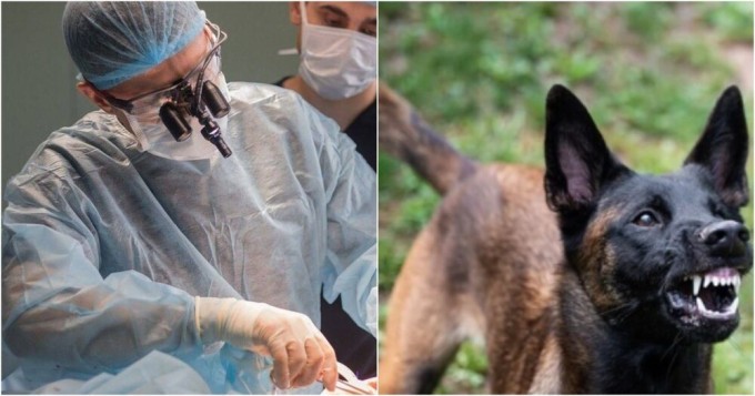 In Russia, an operation was carried out to save the face of a child mutilated by a dog (5 photos)