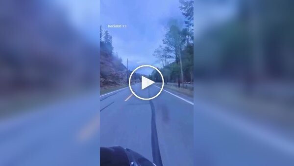 Moto Hunt