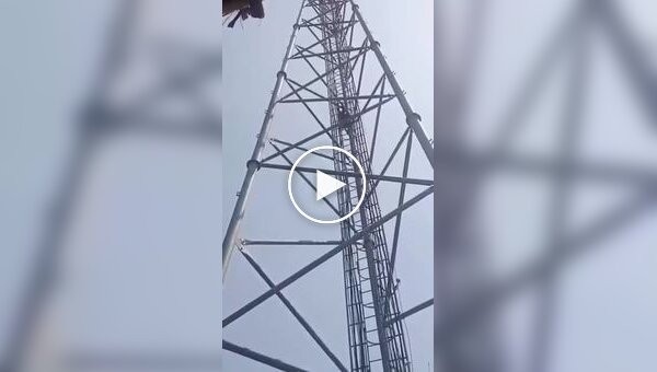 A worker fell from a communication tower in India and fell down a ladder