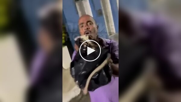 A possum bit a man on the lip, sensing a threat