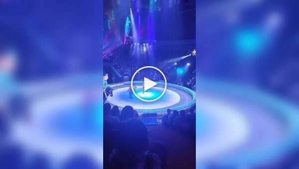 An acrobat broke his leg after falling from a horse at a circus.