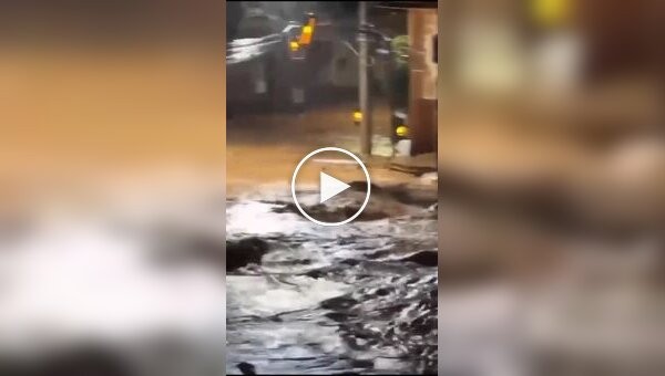 Бразильцы сняли плывущие по улицам города гробы