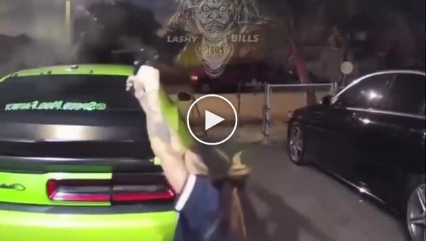 Женщина открыла огонь по парням, пытавшимся похитить щенков