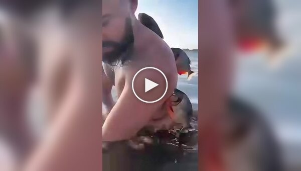 Пираньи атаковали мужчину