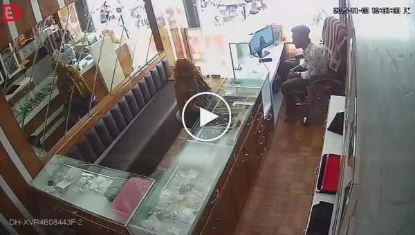 Попытка ограбления с чили-порошком в индийском ювелирном магазине закончилась не по плану