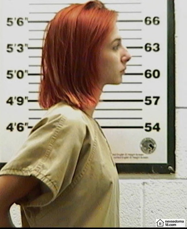 Привлекательные преступницы в США