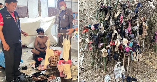 Masturbation tree: a man stole and used more than fifty underwear in Thailand (3 photos + 1 video)