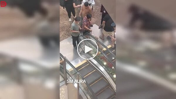 Эскалатор экстренно отключили после того, как собака застряла хвостом