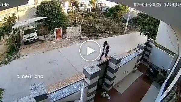 Нападение бездомных собак на девушку в Индии