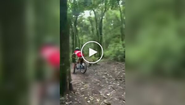 На переднем колесе в дерево