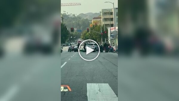 In California, a gang of blacks on motorcycles robbed a security company's car right at a traffic light.