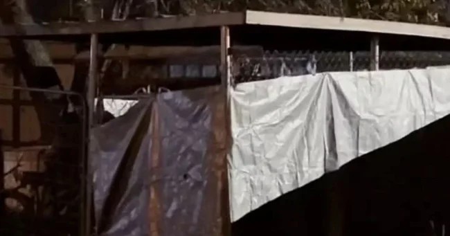 Американка держала приёмную дочь в собачьем вольере (3 фото + 1 видео)